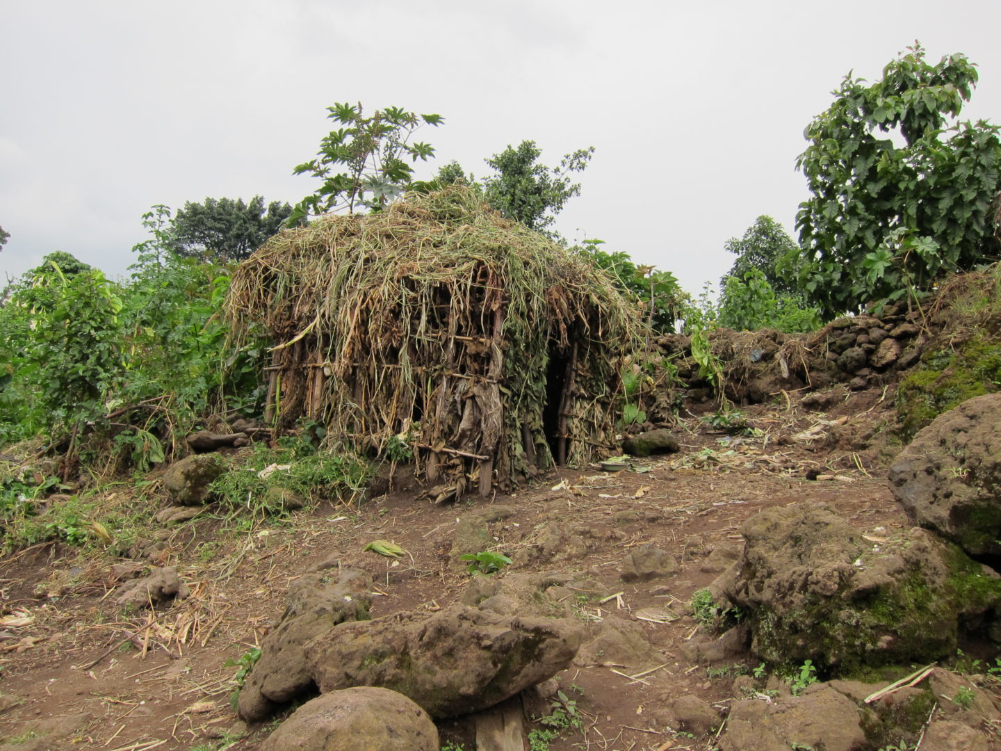 House in Batwa village